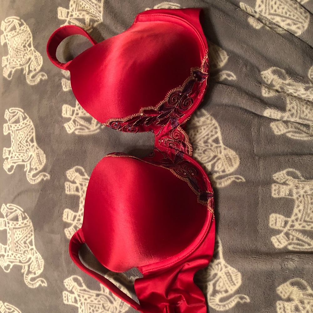 Red elegant bra